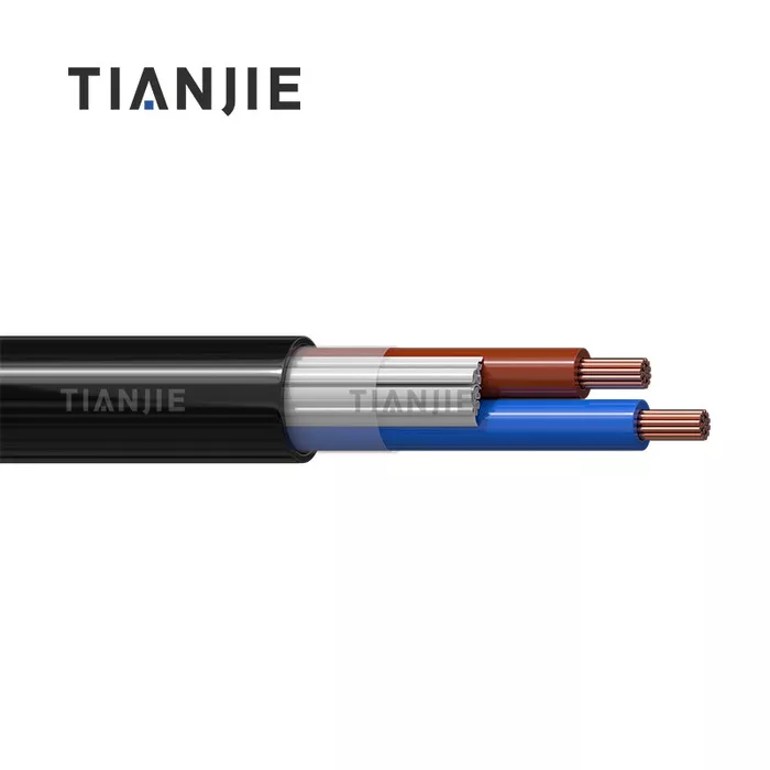 Power and Control Cable 2